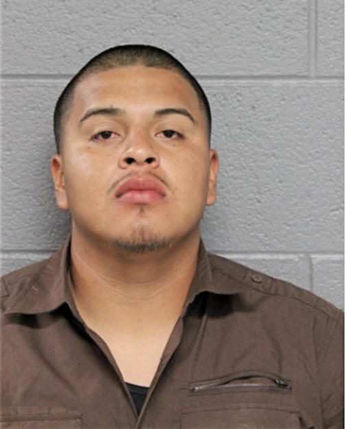 ISAC S GUZMAN, Cook County, Illinois