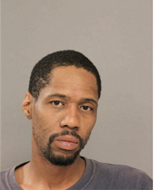 ANDRE E HAMILTON, Cook County, Illinois