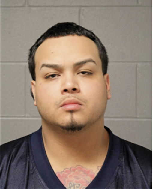 ALFREDO J HERRERA, Cook County, Illinois
