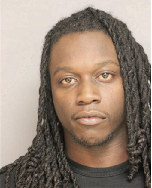 DAVID M LOGAN, Cook County, Illinois