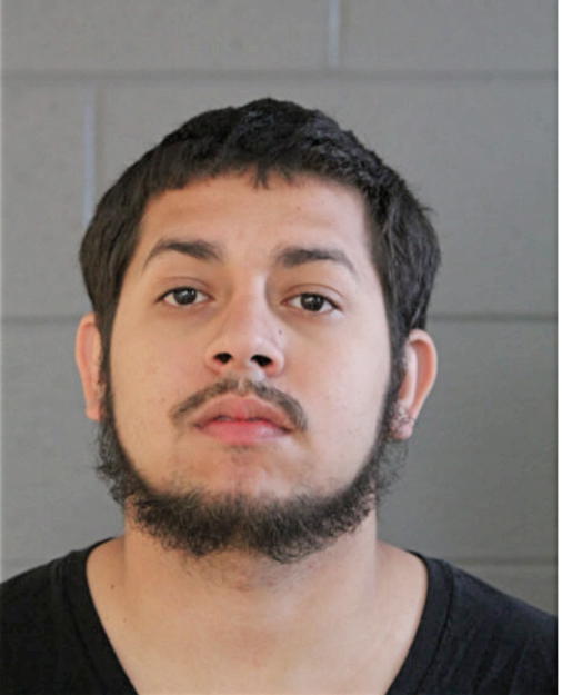 ANTHONY M MENDOZA, Cook County, Illinois