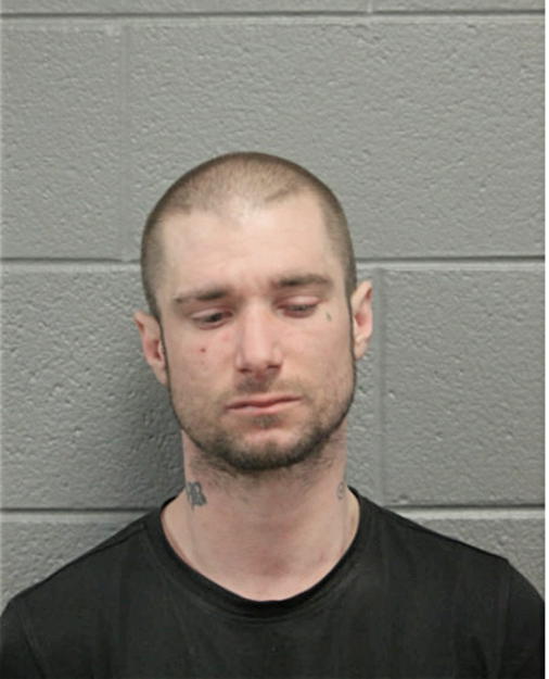 BESIM METOVSKI, Cook County, Illinois