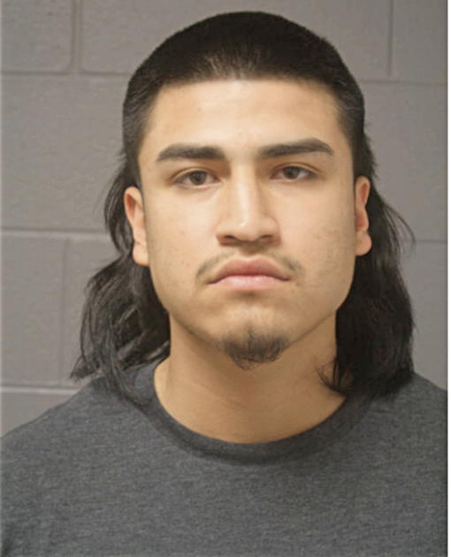 GERMAN NEGRETE, Cook County, Illinois