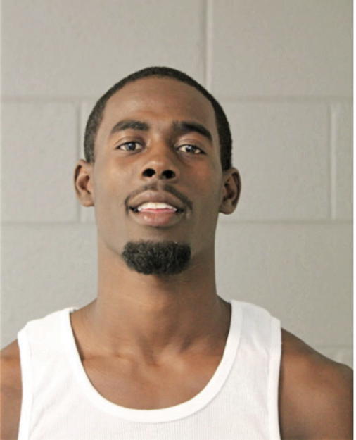 BRANDON D PALMER, Cook County, Illinois