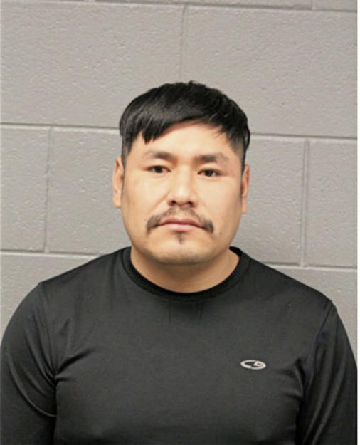 LUCAS PAREJA, Cook County, Illinois