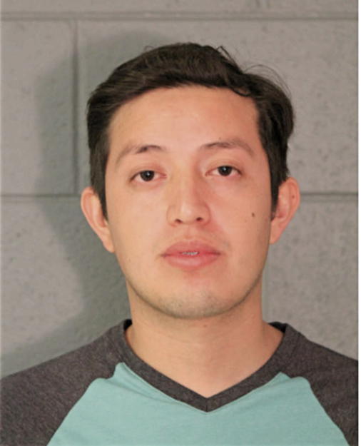 TONI M PERALTA, Cook County, Illinois
