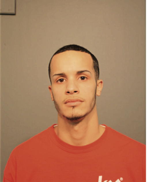 MICHAEL A ROLDAN, Cook County, Illinois