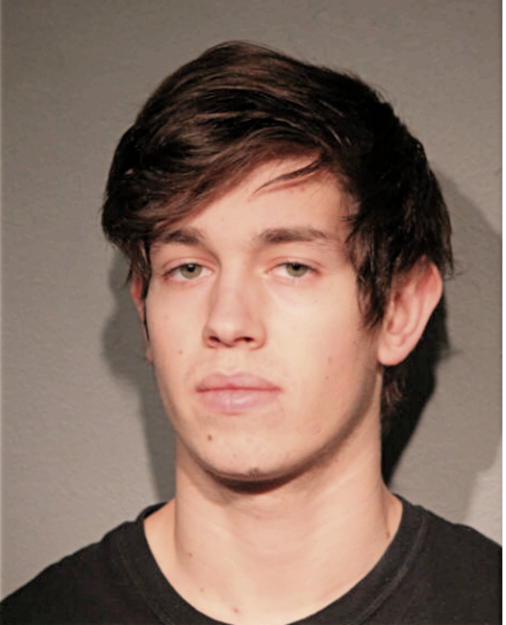 DYLAN VATKIN, Cook County, Illinois