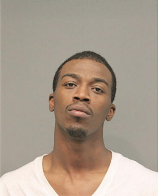 RAY S WHITE, Cook County, Illinois
