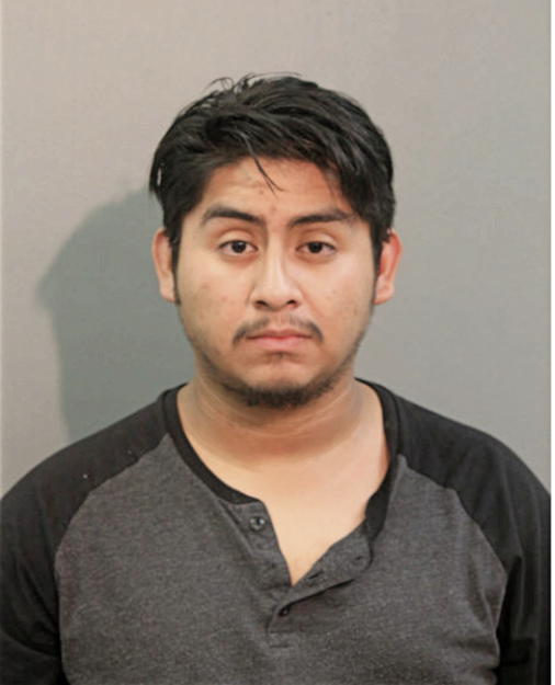LUIS ALBERTO ACOSTA, Cook County, Illinois
