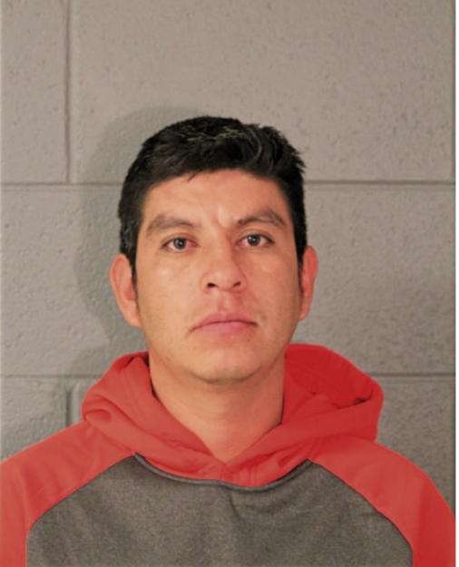 RUBEN ARTEAGA, Cook County, Illinois