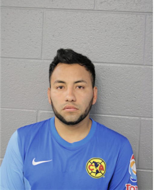 ADAN D ROSALES, Cook County, Illinois