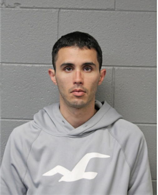 MICHAEL J DALY, Cook County, Illinois