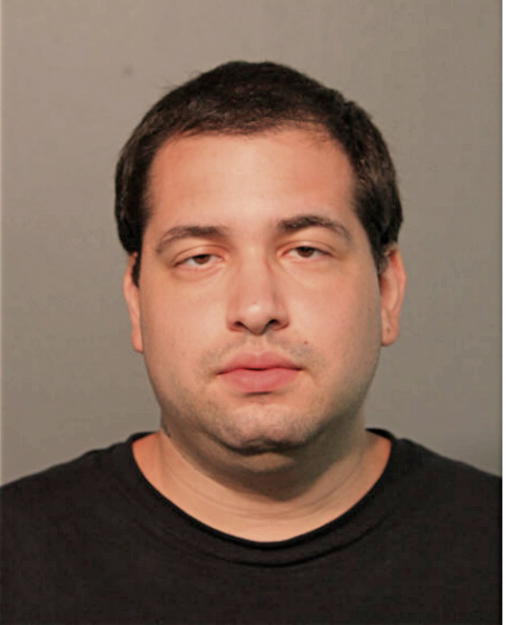 ABDIAS FLORES, Cook County, Illinois
