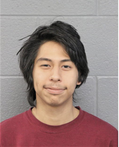ELVIS FLORES, Cook County, Illinois