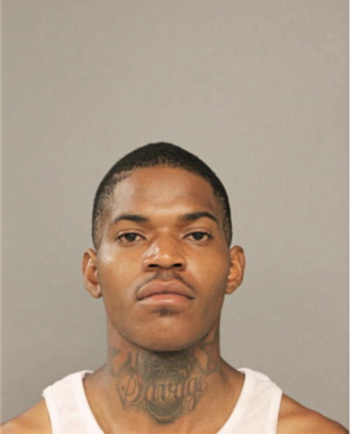 DARRELL A JOHNSON, Cook County, Illinois