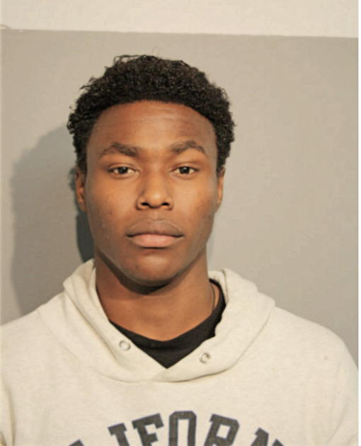 ARNOLD M LARENZO, Cook County, Illinois