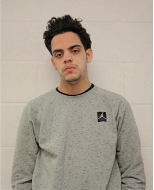MICHAEL C LEMUS, Cook County, Illinois
