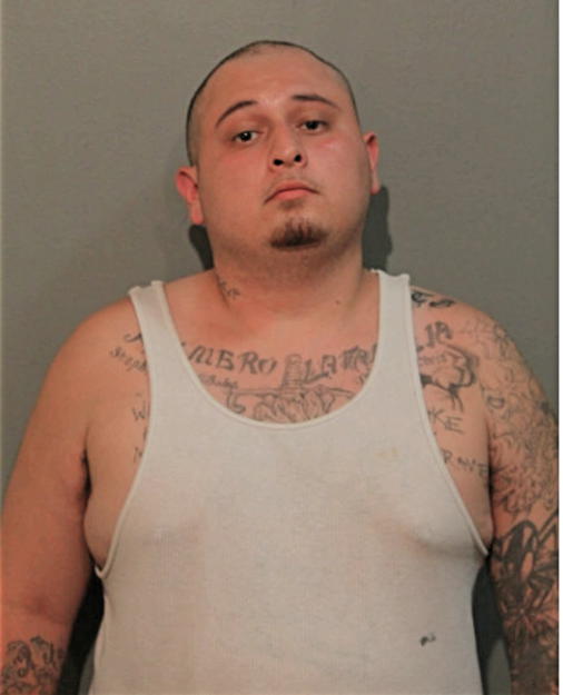 MICHAEL KENNEDY MAUNA, Cook County, Illinois