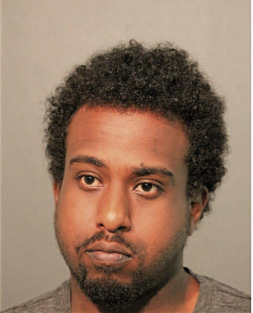 JOSEPH S MEKONNEN, Cook County, Illinois