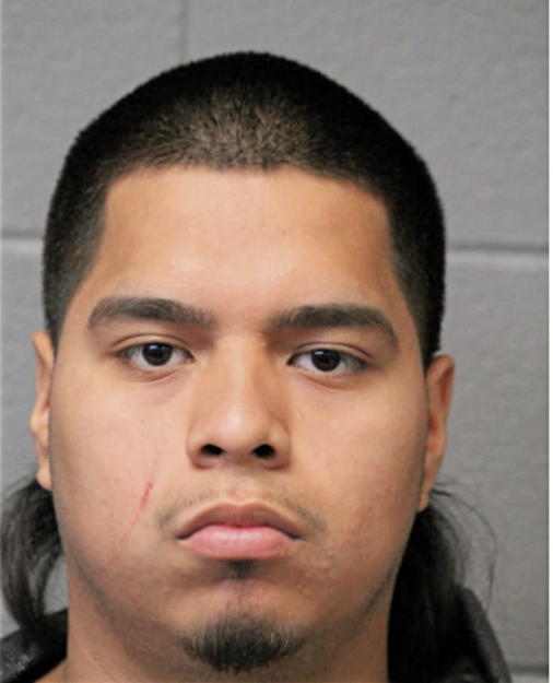 EDSEL MINON, Cook County, Illinois