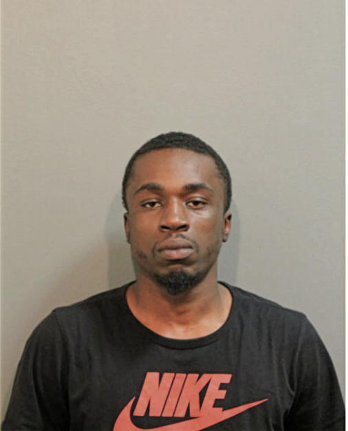 MICHAEL D NOEL, Cook County, Illinois