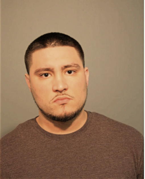 FABIO V ORTIZ, Cook County, Illinois