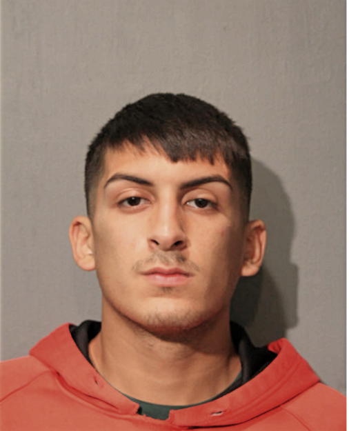 ALEXIS PULIDO, Cook County, Illinois