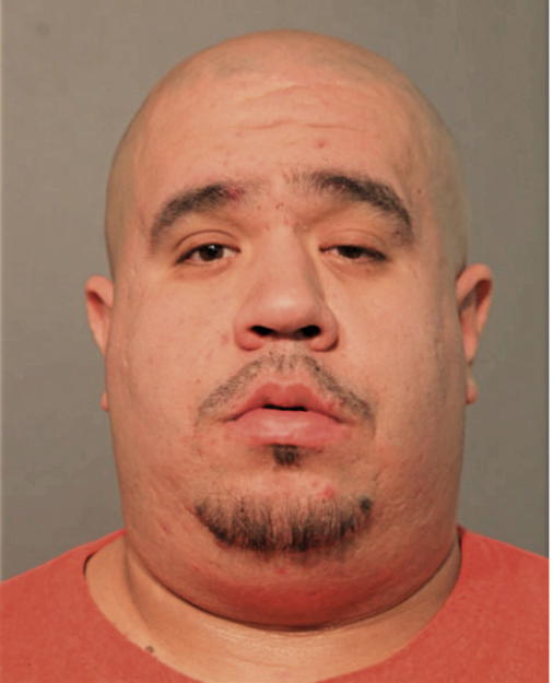 JOSE L PUMAREJO, Cook County, Illinois