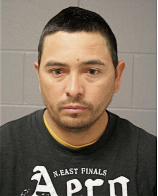HOMERO RENTERIA, Cook County, Illinois