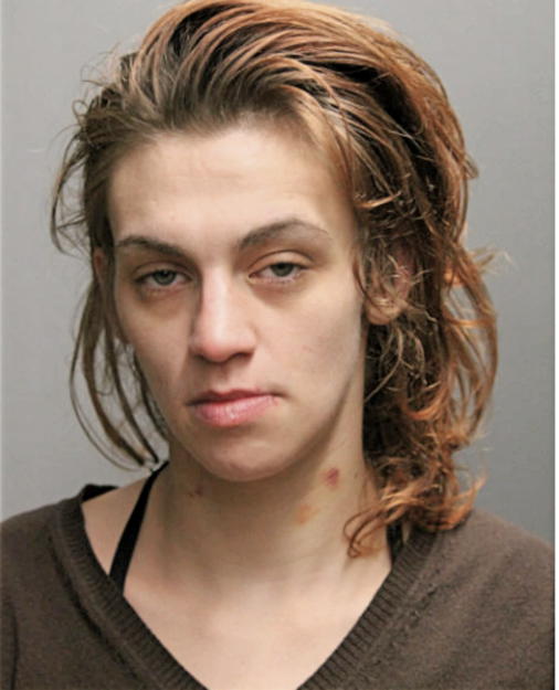 VIDETTE RIVERA, Cook County, Illinois