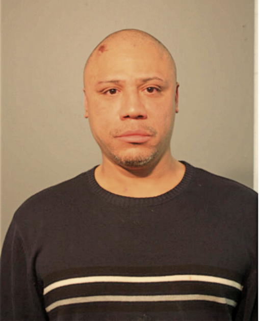 SHAWN L WILLIAMS, Cook County, Illinois