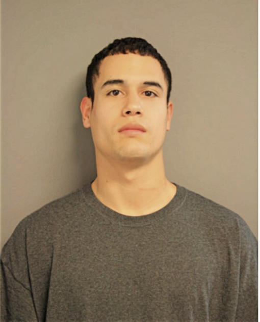 LEO A ALVAREZ, Cook County, Illinois