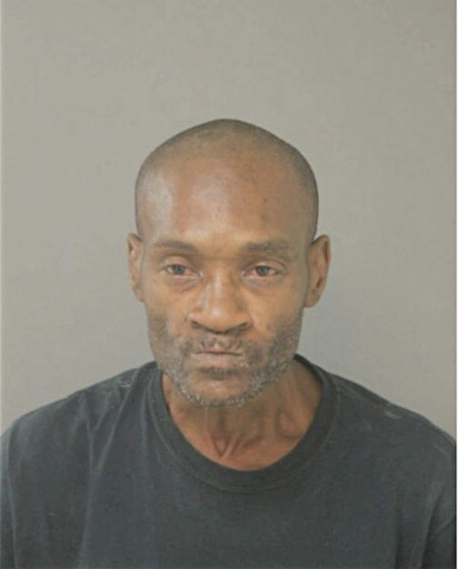 JOHNNIE L AMES, Cook County, Illinois