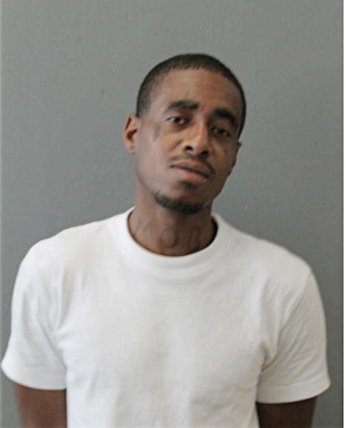 STEVEN A BROWN, Cook County, Illinois