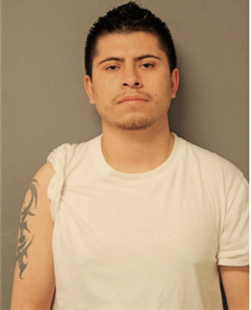 ANDRES CASTANEDA-MARTINEZ, Cook County, Illinois