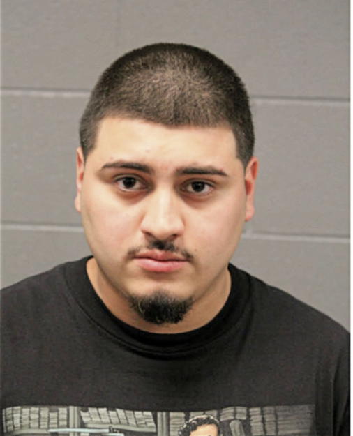 DANIEL N CHAVEZ, Cook County, Illinois
