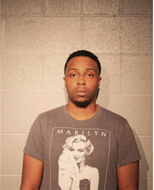 OLUFEMI O DOSUNMU, Cook County, Illinois