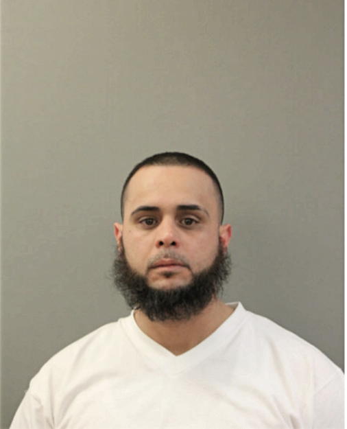 JOSE L GONZALEZ, Cook County, Illinois