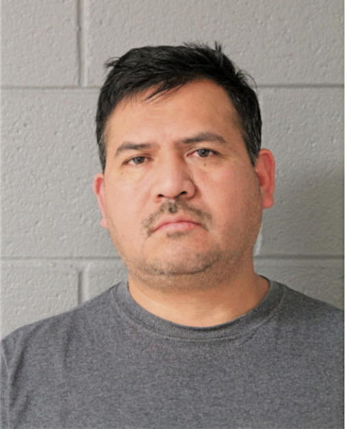 PEDRO JAIMES-FLORES, Cook County, Illinois