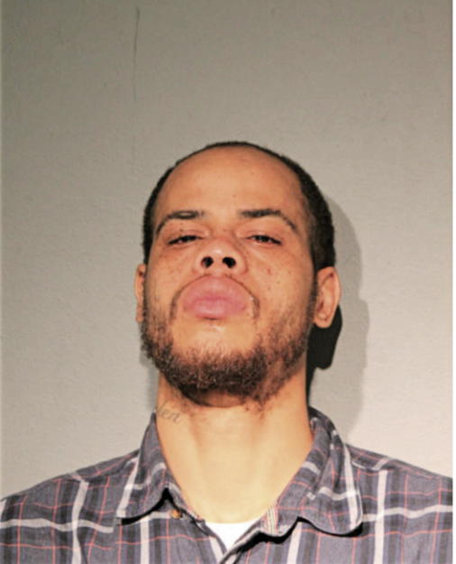 JESSIE L JAKES, Cook County, Illinois