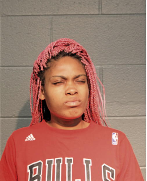 ROBIN D JOHNSON, Cook County, Illinois