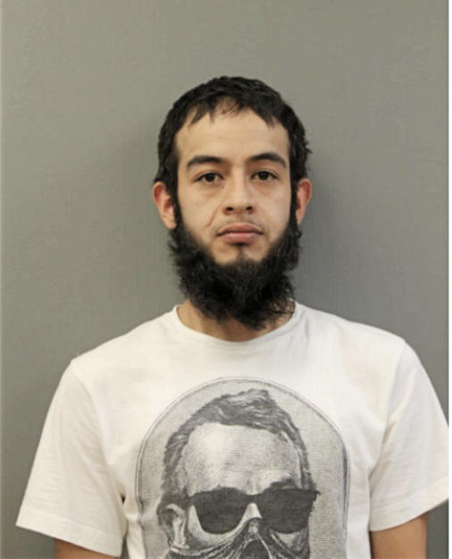EDUARDO MANZANARES, Cook County, Illinois