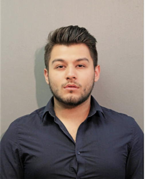 ALEXIS MARIN, Cook County, Illinois