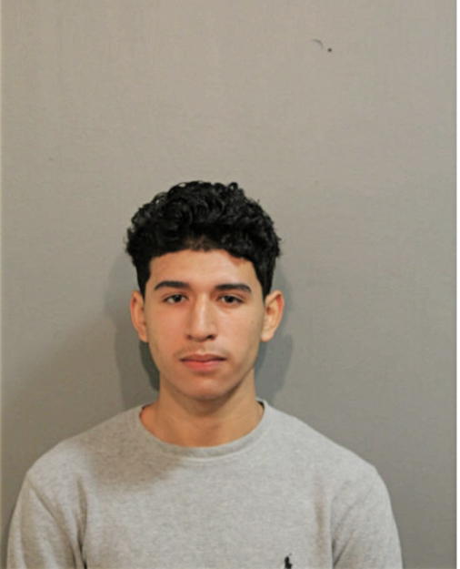 HENRY J MORENO, Cook County, Illinois