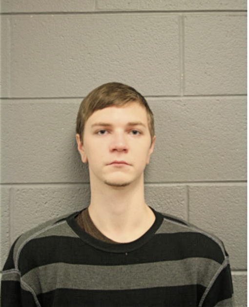 TREVOR D PERRY, Cook County, Illinois