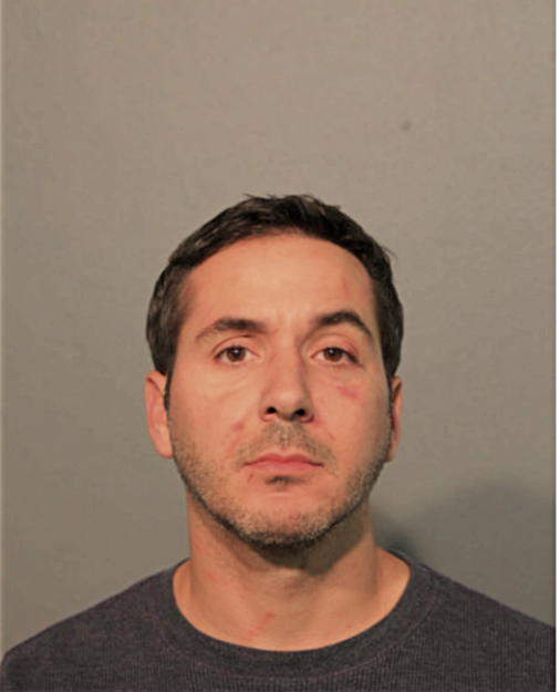 PETER J PONA, Cook County, Illinois