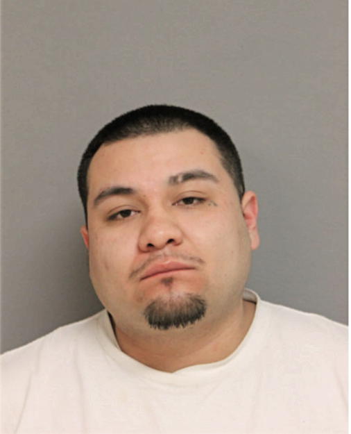 RICARDO REYES, Cook County, Illinois
