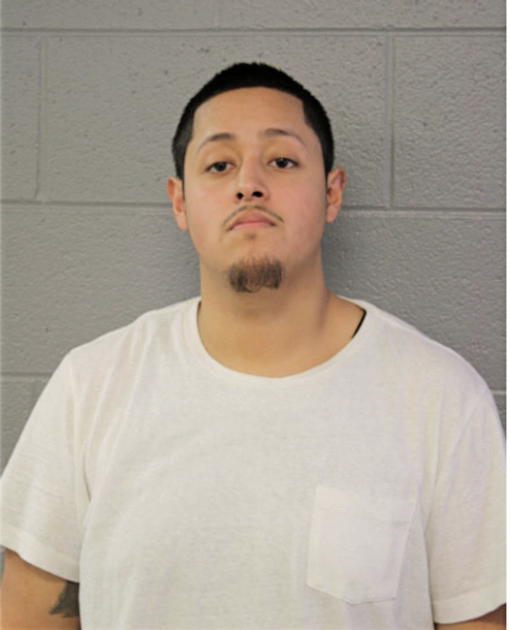 MARK A SANCHEZ, Cook County, Illinois