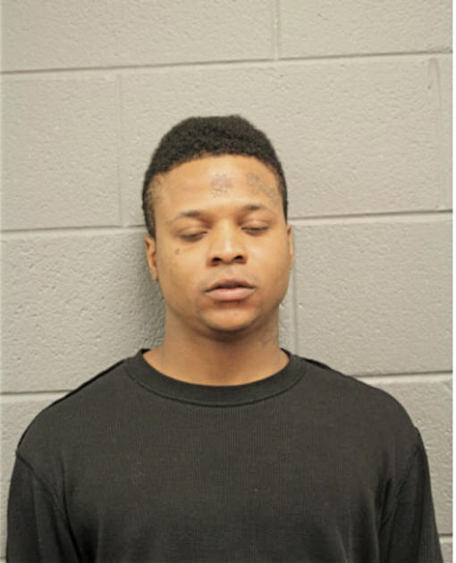 BRANDON W THOMAS, Cook County, Illinois